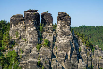 Low angle view of trees on rock against sky