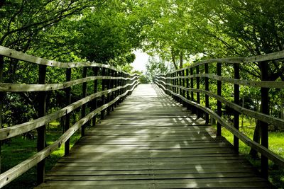 Footbridge in forest