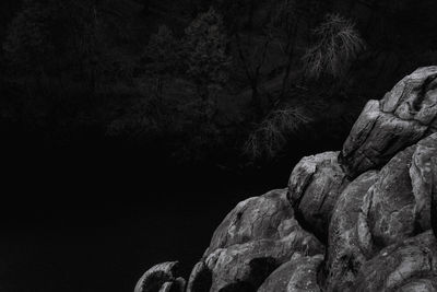 Rock formation in forest