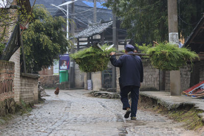 Rear view of man walking on street amidst buildings