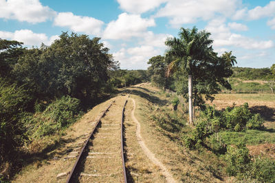 View of railroad track along trees