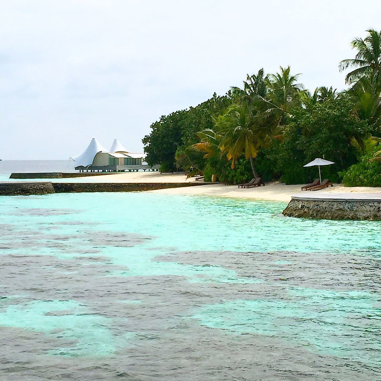 water, tree, sea, beach, sky, tranquil scene, tranquility, built structure, nature, palm tree, scenics, day, swimming pool, beauty in nature, building exterior, shore, tourist resort, blue, clear sky, architecture