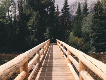 Wooden footbridge in forest