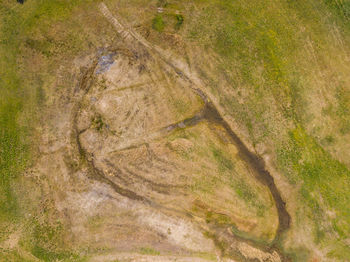 High angle view of field