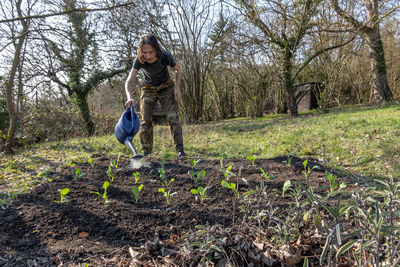 Man watering vegetable patch