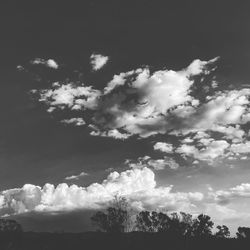 Low angle view of silhouette trees against sky