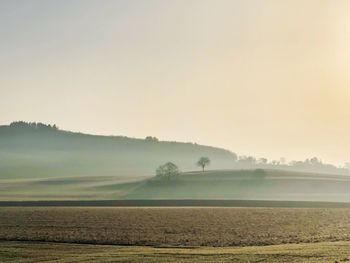 Scenic view of field against sky during foggy weather