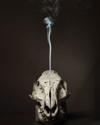 Close-up of smoke emitting from animal skull against black background