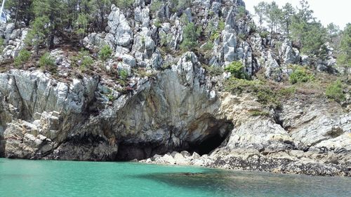 Scenic view of sea and trees