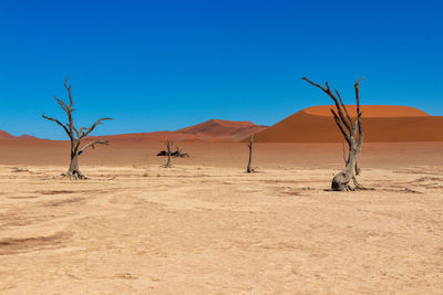 Namibia landscape