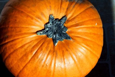 High angle view of pumpkin on orange leaf