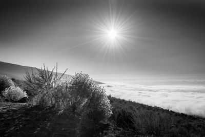 Scenic view of snow field against sky