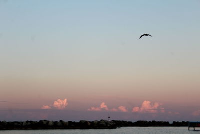 Silhouette birds flying against sky during sunset