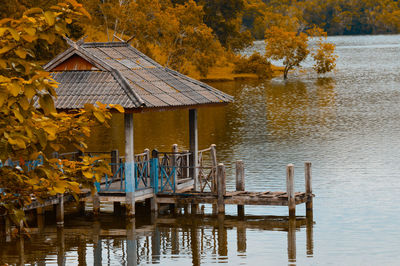 Wooden posts in lake during autumn