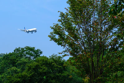 Low angle view of airplane flying against clear sky