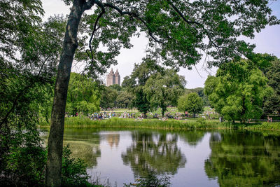 Scenic view of lake by trees against sky