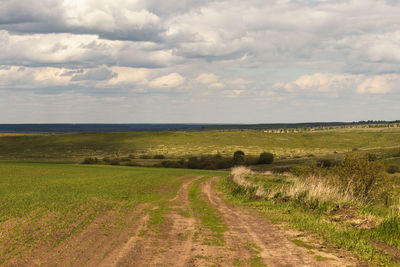 Scenic view of agricultural field against sky