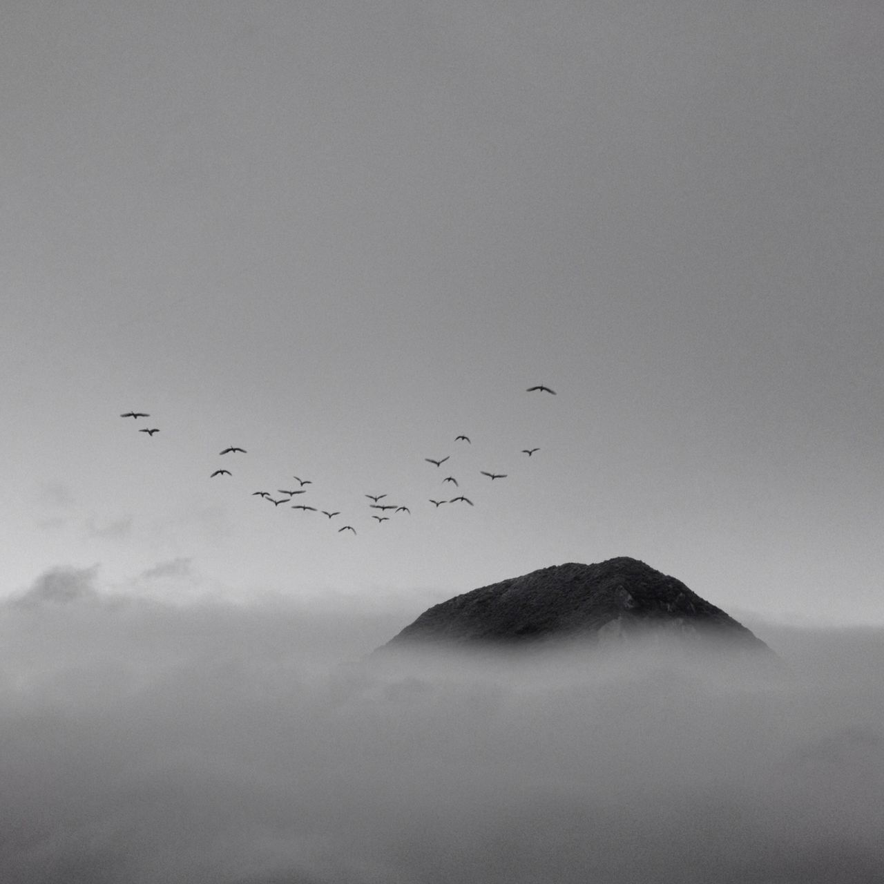 bird, flying, animal themes, animals in the wild, wildlife, flock of birds, tranquil scene, nature, scenics, tranquility, beauty in nature, sky, mid-air, medium group of animals, water, spread wings, outdoors, mountain, silhouette