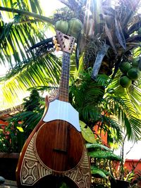 Low angle view of palm trees