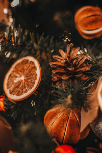 Dried mandarins, oranges,cones hanging on the christmas tree branches. winter holiday decorations