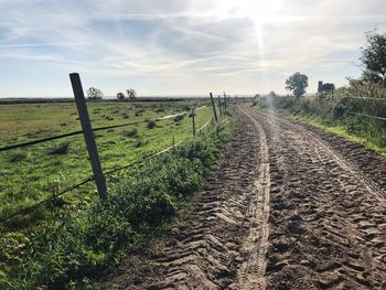 Dirt road amidst plants on field against sky