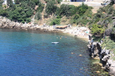 Reflection of trees in water