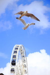 Low angle view of seagulls flying by ferris wheel against sky