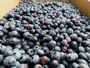 Full frame shot of blueberries