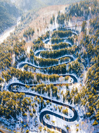 Aerial view of road amidst tree during winter