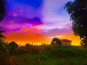 Trees and houses on field against sky during sunset