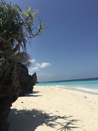 Scenic view of beach against clear sky