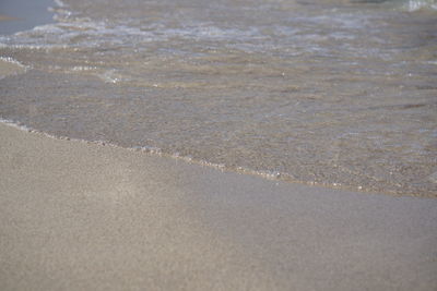 Scenic view of beach