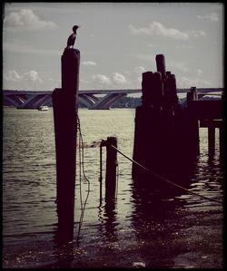 Pier on sea against cloudy sky