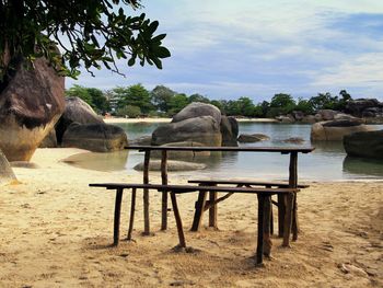 Reflection of trees in water