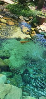 High angle view of swimming pool