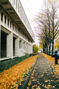 Footpath amidst buildings against sky during autumn