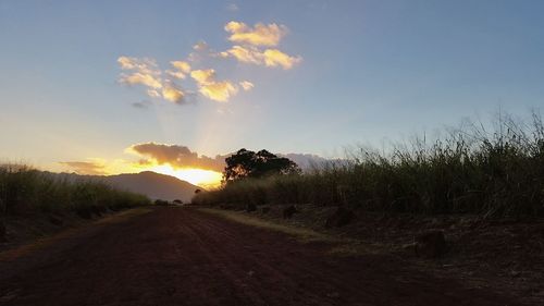 Road passing through field at sunset