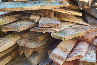 Stack of logs in forest