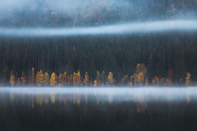 Sfanta ana lake from harghita in autumn season.