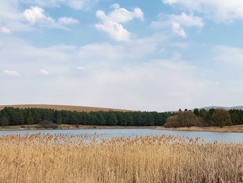 Scenic view of lake against sky