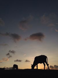 Silhouette of elephant standing on field against sky