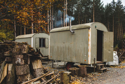 Stack of logs in forest