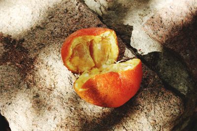 High angle view of orange fruit on rock