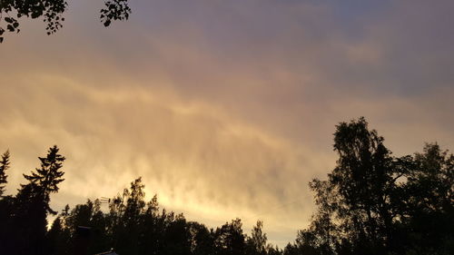 Low angle view of trees against cloudy sky