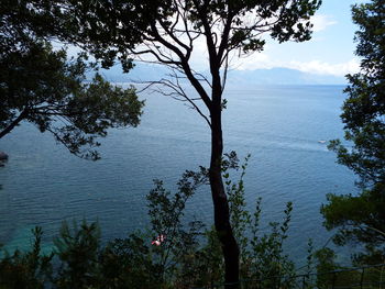 High angle view of trees by lake against sky