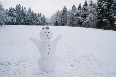 Snow covered land and trees on field