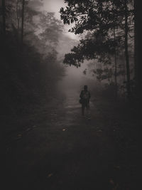 Rear view of man walking in forest