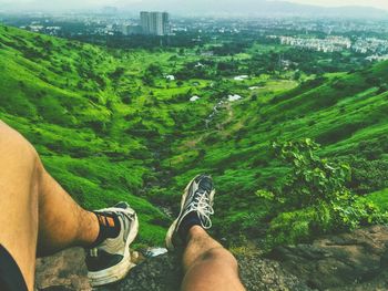 Low section of person legs against trees on landscape