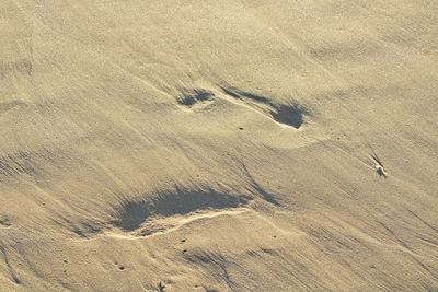 High angle view of footprints on sand at beach