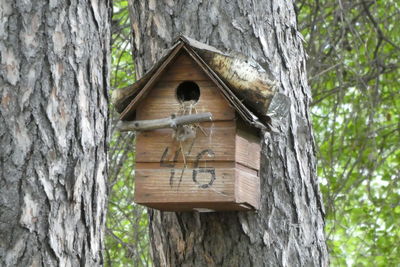 Low angle view of birdhouse on tree trunk